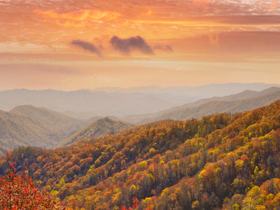 Off-Roading in Pigeon Forge, TN