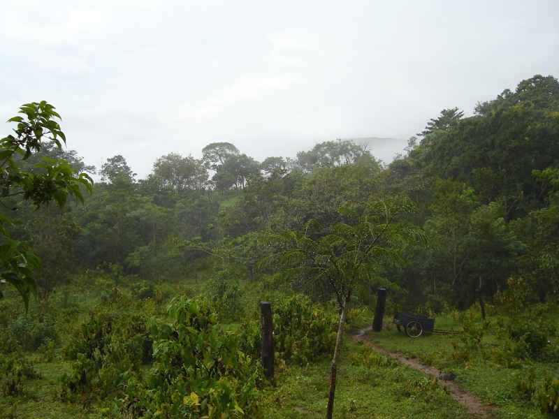 Costa Rica property available at Rancho Silencio near San Ramon